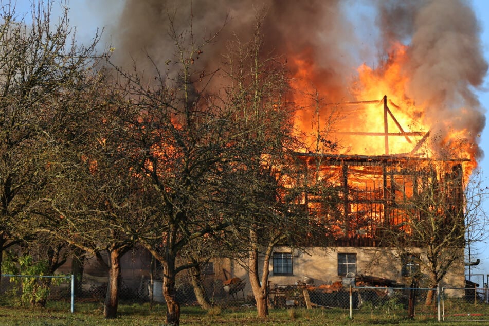 Großeinsatz im Erzgebirge: Scheune und Geräteschuppen in Brand, zwei Schweine sterben