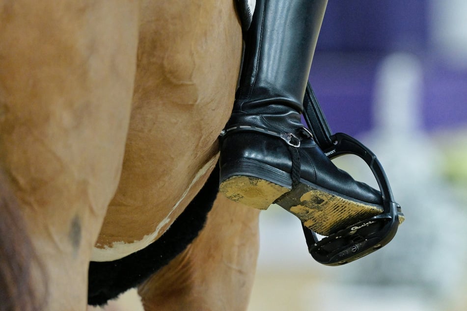 Tiere auf Olympia-Anlage gequält: Kinder verstört, Ermittlungen laufen