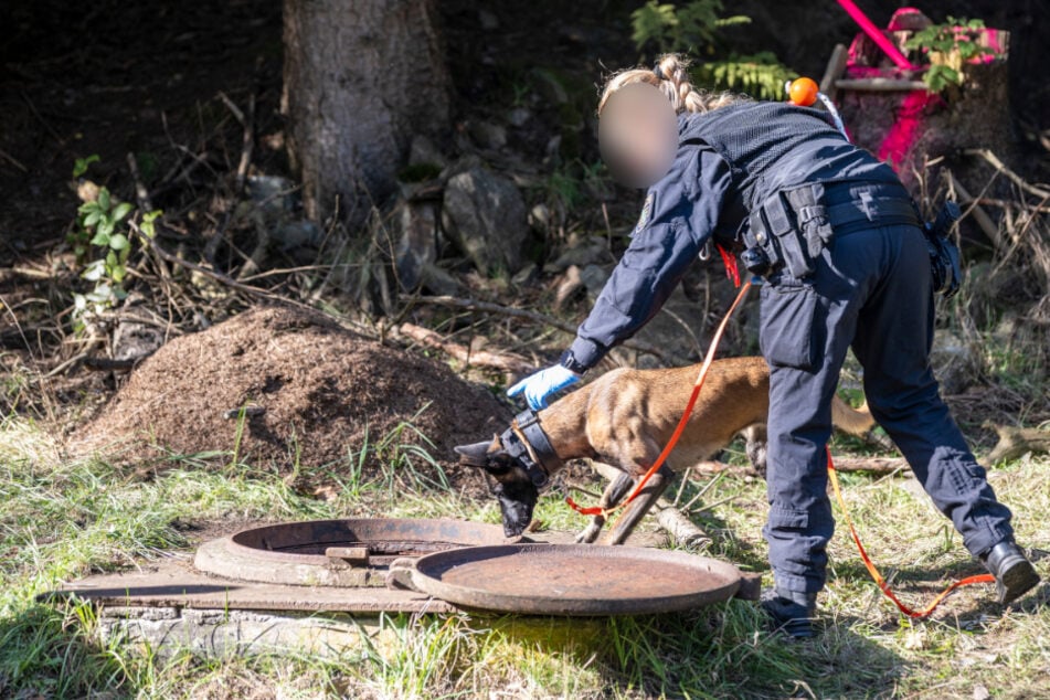 Vermisster Schatzsucher im Erzgebirge: Hier geht die Suche weiter