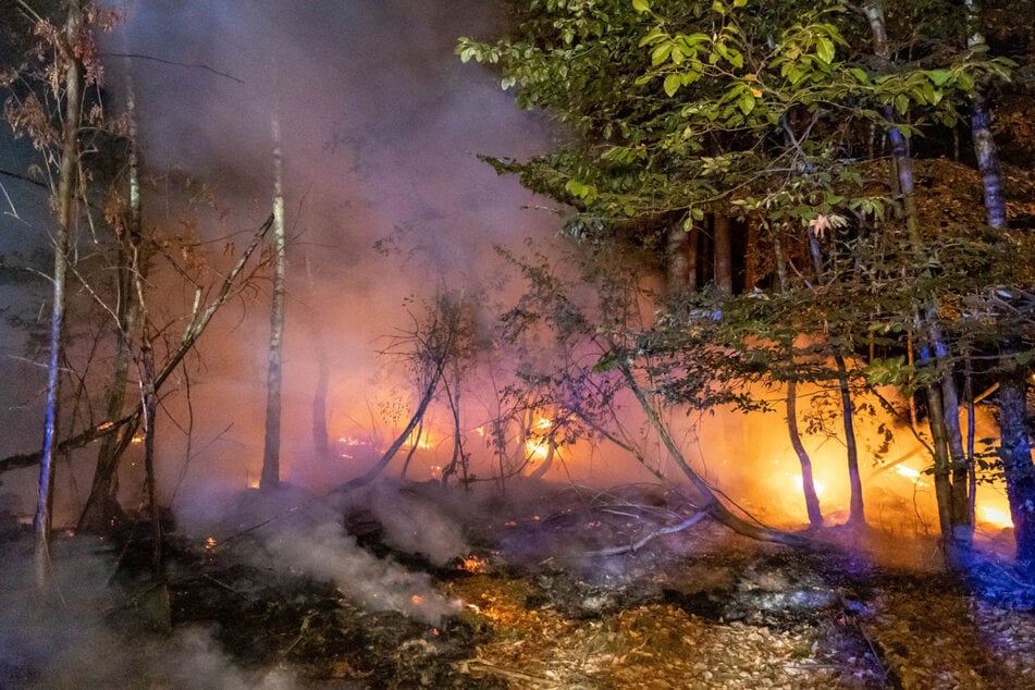 Massive Waldbrände bei Hanau: Polizei hat einen Verdacht!