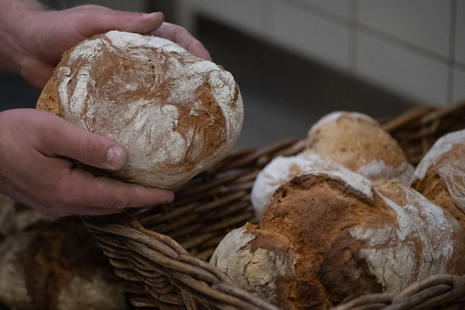Brot und Co. bald noch teurer? Einfuhrpreise für Getreide um mehr als 50 Prozent gestiegen!
