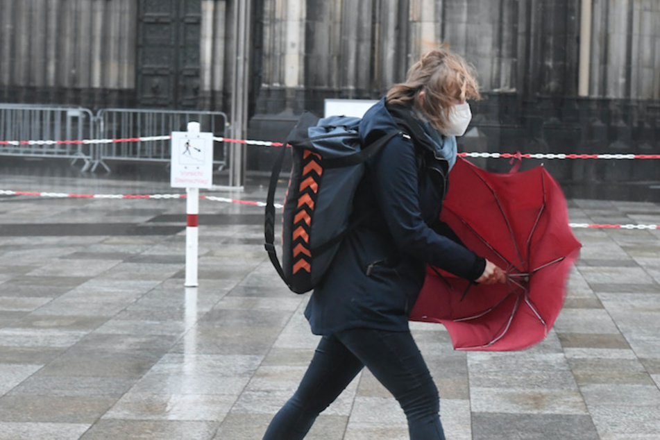 Wetter: Dauerregen und kräftige Windböen in Köln und NRW drohen!