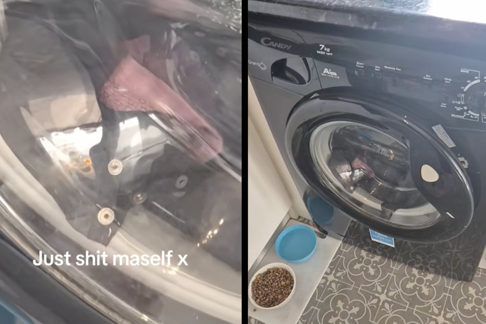 Die Waschmaschine einer Frau aus Manchester sorgte für einen Schockmoment, da es so aussah, als wäre eine Katze im Gerät eingesperrt.