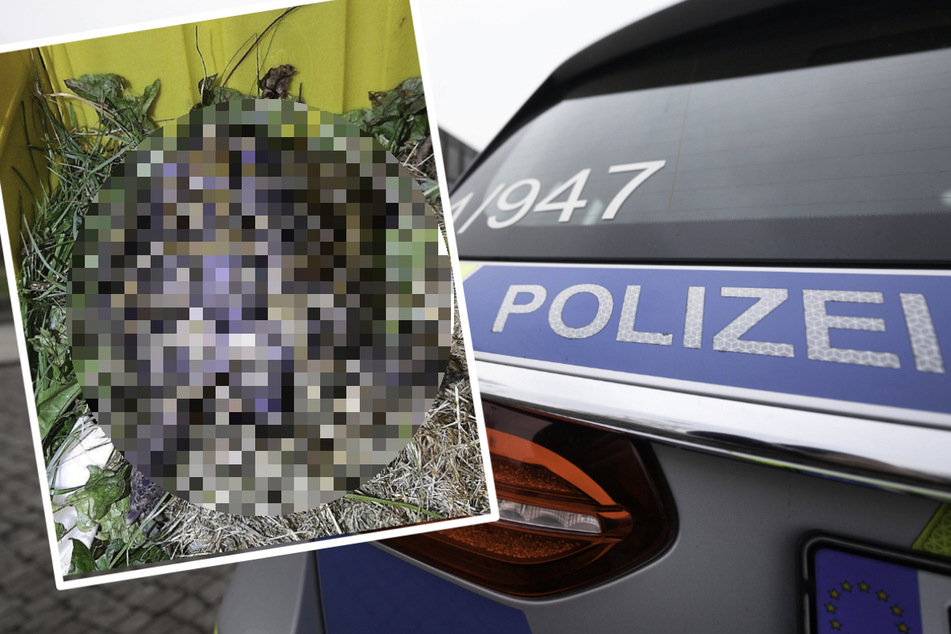 Kurioser Fund in Sachsen beschäftigt Polizei