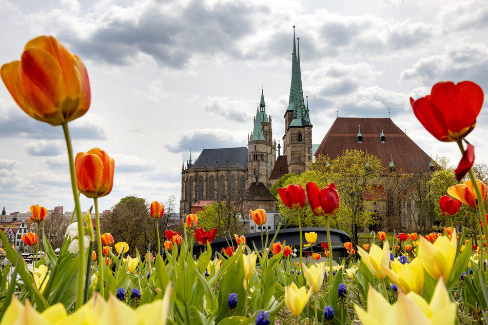 Die Stadt Erfurt hat in Thüringen noch die geringsten Verluste.