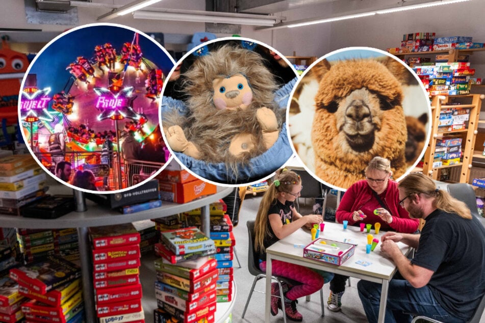 Von Achterbahnen bis zu Alpakas: Das könnt Ihr heute erleben