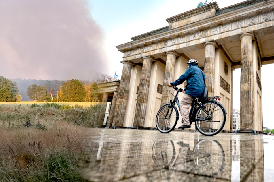 Wetter in Berlin und Brandenburg: Regen und Gewitter lassen Waldbrandgefahr leicht sinken