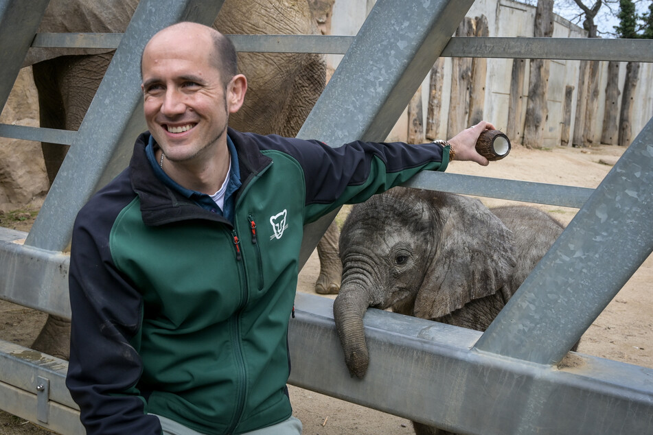 Dennis Müller, Direktor des Bergzoos Halle, taufte das sieben Wochen alte Elefantenbaby auf den Namen Simon.