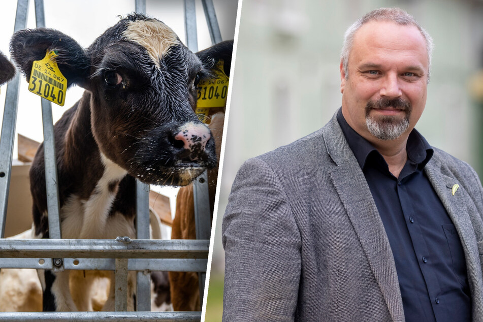 Fördergeld-Panne: Minister Günther hat Hilfsplan für Sachsens Bauern