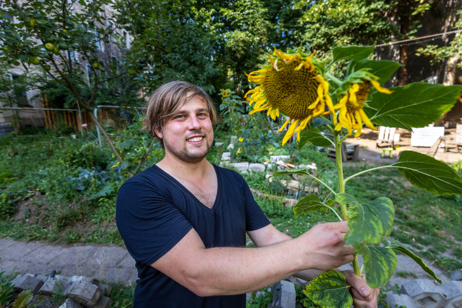 René Bzdok (34) steht im Nachbarschaftsgarten "Zietenaugust".