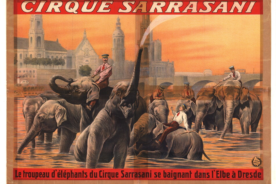 Ein historisches Zirkusplakat: Die Elefanten von Sarrasani baden in der Dresdner Elbe.