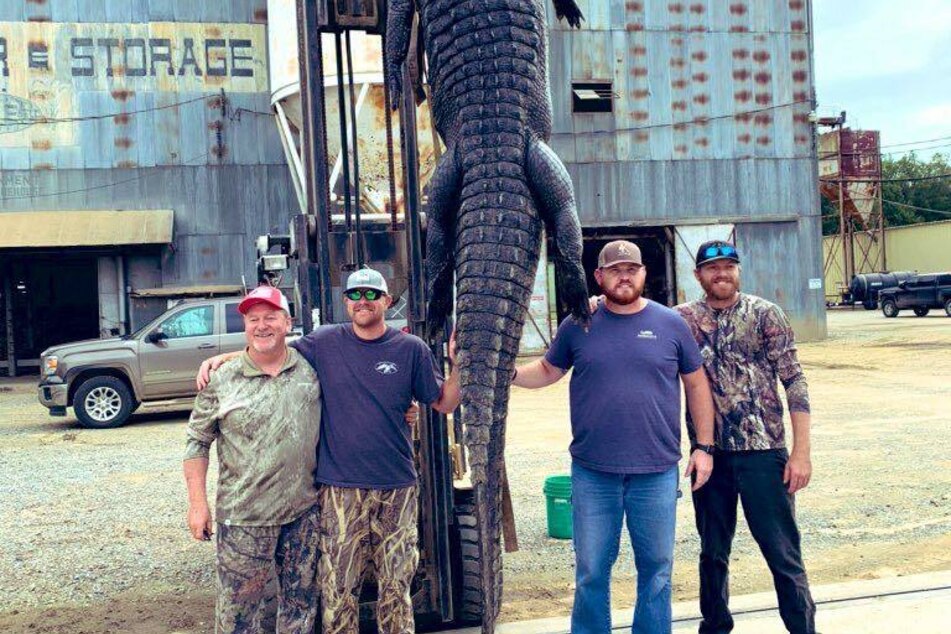 Sichtlich stolz posieren die vier Männer mit dem toten Alligator.