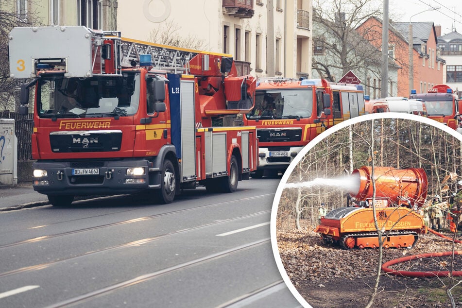 Dresden: "Einsatz" in der Dresdner Heide: Feuerwehr rückt mit 80 Kameraden aus!