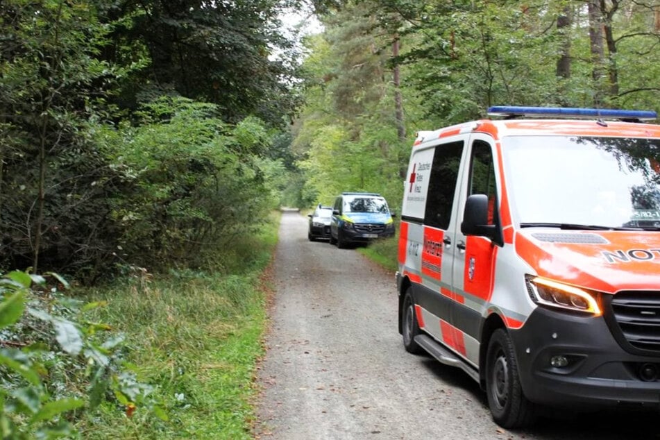 Joggerin in Wald erstochen: So viele Hinweise gingen nach "Aktenzeichen XY" ein