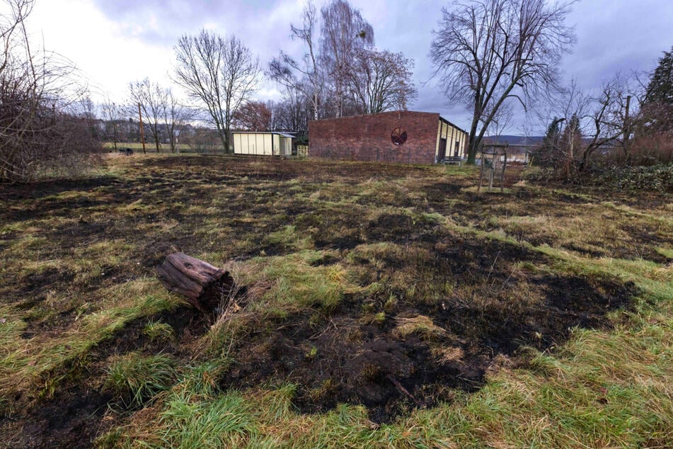 Rund 2000 Quadratmeter Elbwiese wurden in Mitleidenschaft gezogen.