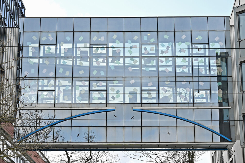 Bunte Zettel zieren jetzt den Glasübergang am Technischen Rathaus, um weiteres Vogelsterben zu verhindern.