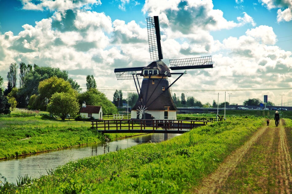 Die wichtigsten Ereignisse und neuesten Schlagzeilen aus der Niederlande gibt's auf dieser Themenseite.