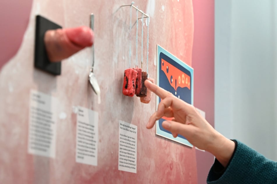 Die Ausstellung liefert einen neuen Blickwinkel auf den "Schleim".