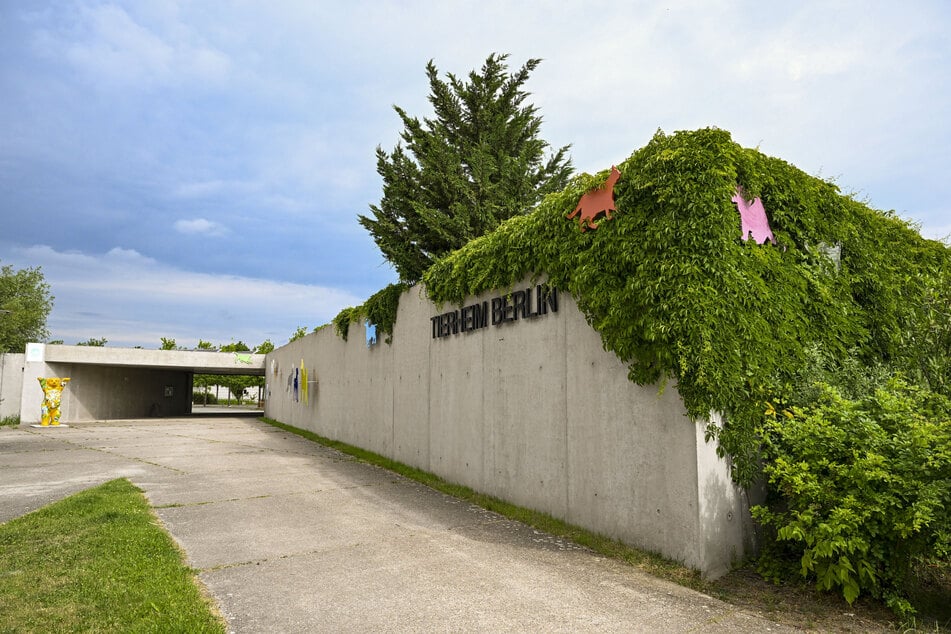 Das Berliner Tierheim ist rund 22 Fußballfelder groß.