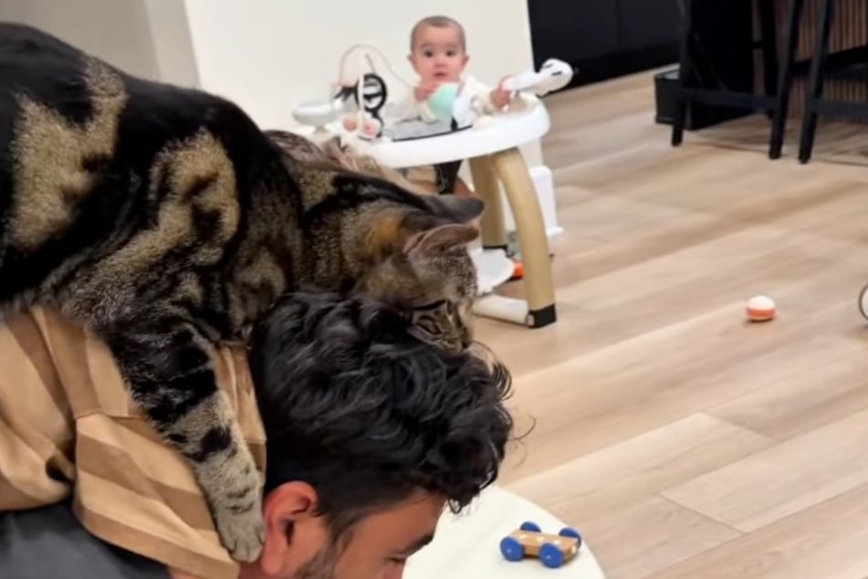 Bei diesem Anblick macht selbst Baby Jazelle große Augen.