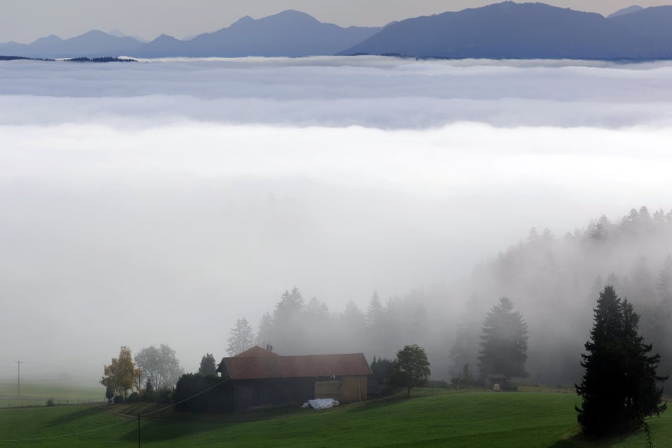 Es gibt hier nichts zu sehen: Nicht nur in Gebirgsnähe sorgt dichter Nebel zum Wochenstart für schlechte Sicht.