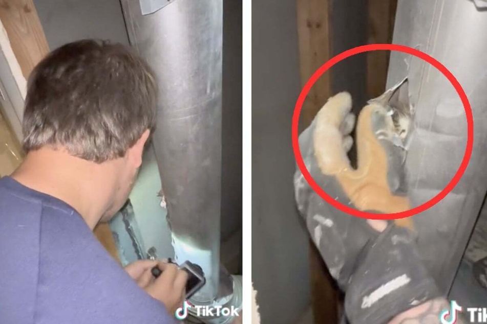Family finds kitten stuck in shocking place and jumps into action