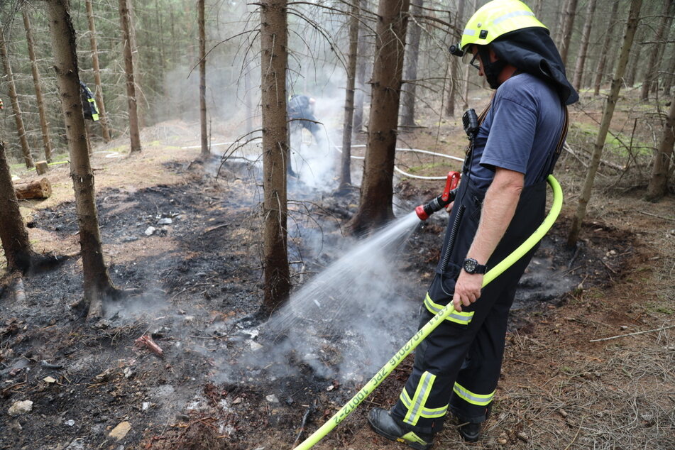 Die Feuerwehr rückte am Montagmittag zu einem Waldstück bei Flöha, um einen Brand auf dem Waldboden zu löschen.