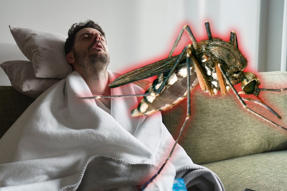 Erster Fall in Deutschland! Mann mit Sindbis-Virus infiziert: Das sind typische Symptome