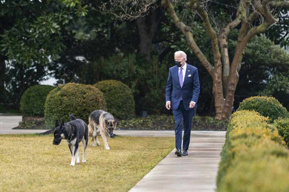 President Joe Biden taking a walk through the Rose Garden with Major and Champ.