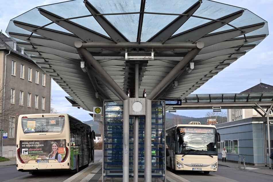 Die Flex-Busse sollen als Zubringer zu den Hauptbuslinien dienen. (Symbolfoto)