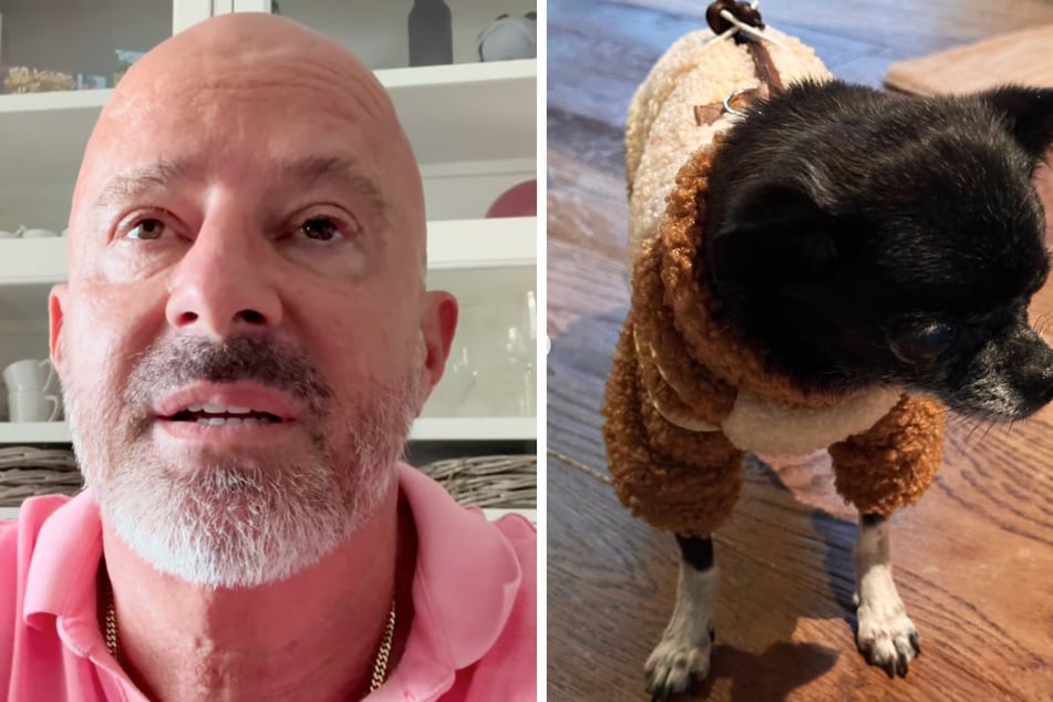 TV-Star Detlef Steves (57) trauert um Hündin Minki.