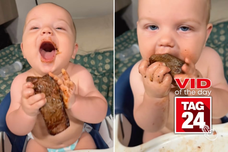 viral videos: Viral Video of the Day for September 17, 2025: Baby's steak feast has the internet in stitches
