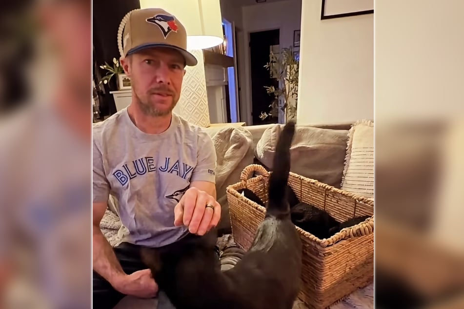 Als Adrian die Box mit den fünf Kätzchen sieht, kann er seinen Augen kaum trauen.