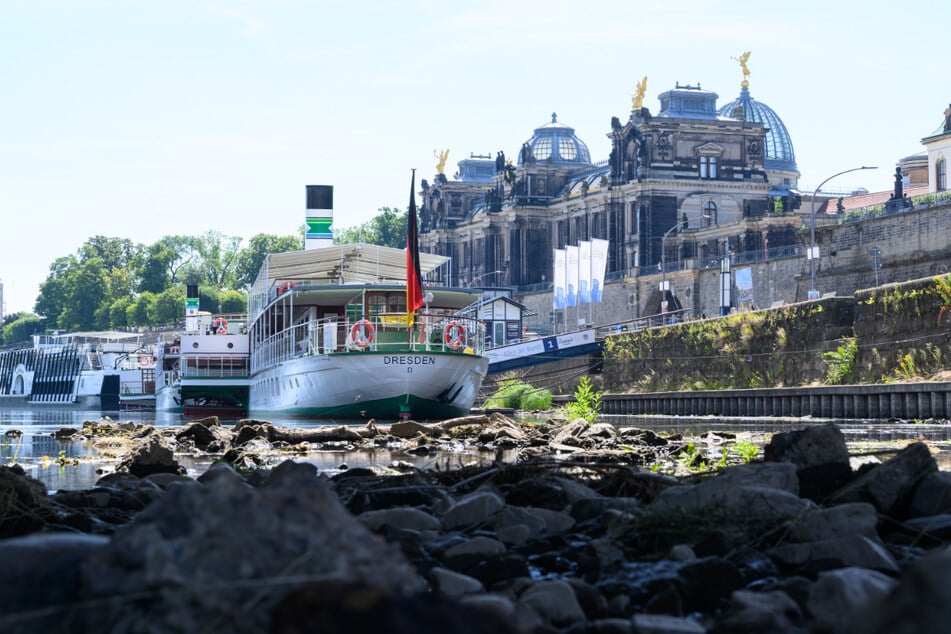 Nicht nur Frachtschiffe sitzen derzeit auf der Elbe vielfach auf dem Trockenen.