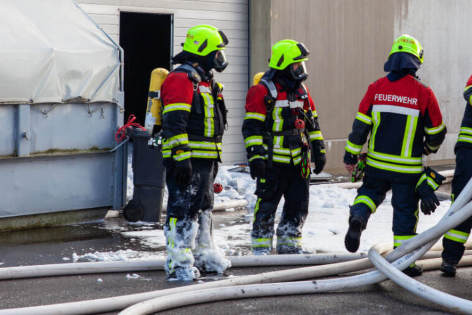 3000 Schweine starben bei Großfeuer: Polizei ermittelt wegen Brandstiftung