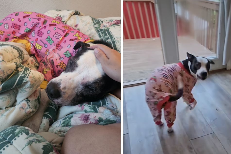 Durch ihre Pollen-Allergie trägt Luna meistens einen Pyjama, damit die Haut nicht gereizt wird.