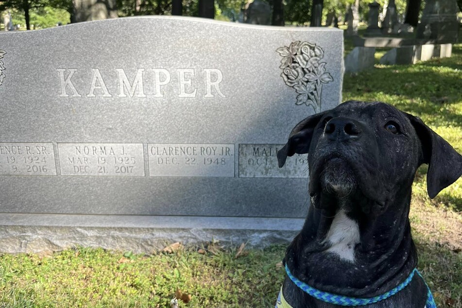 Kamper wurde nach einem Grabstein benannt, an dem er sich herumtrieb.