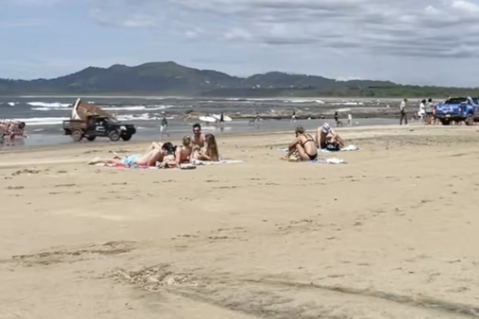 Tourist is relaxing on the beach when she makes this shocking animal discovery!