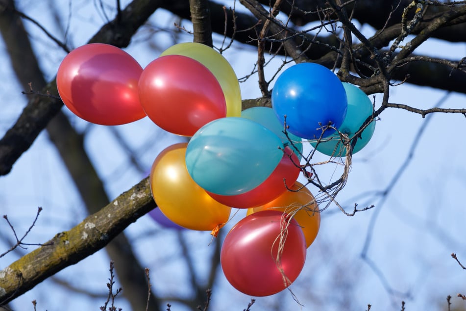 Am Vortag verfingen sich laut dem Beschuldigten die Heliumballons bei einer Feier in den Bäumen des Schlossparks. (Symbolbild)