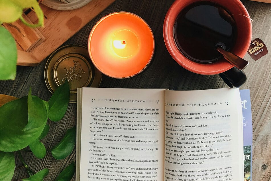 February 2025 will welcome several exciting new books, including can't-miss titles from authors like Mary Kubica and Sadeqa Johnson.