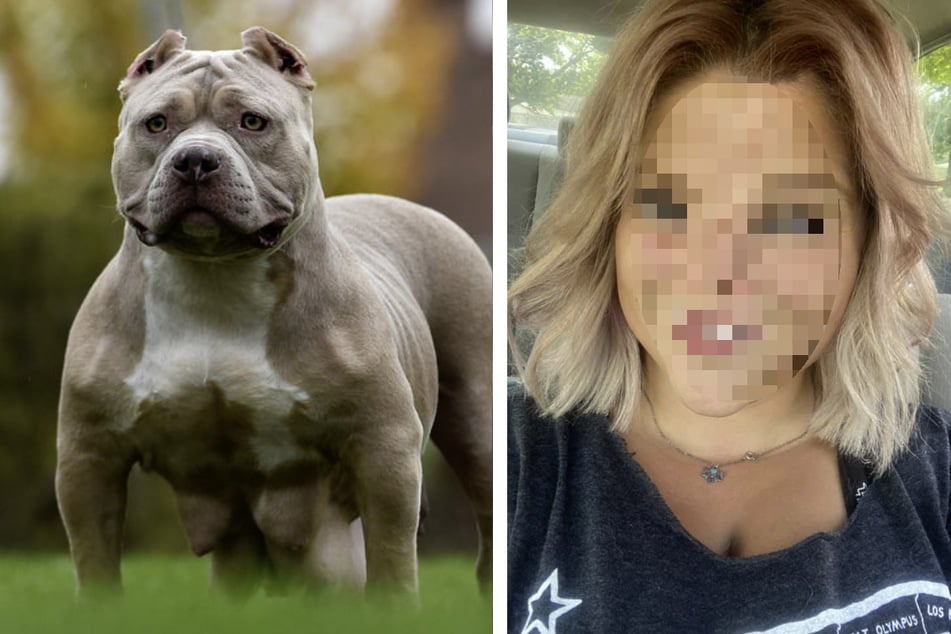 Pitbull reißt Hundeliebhaberin bei Angriff Nase ab: Ihr Gesicht bleibt für immer entstellt
