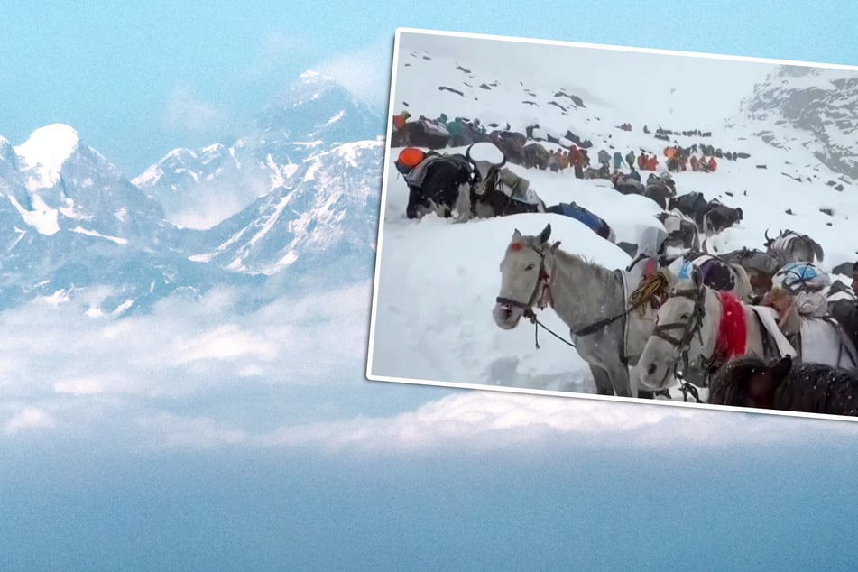 Alle Wanderer nach Berg-Drama am Mount Everest gerettet