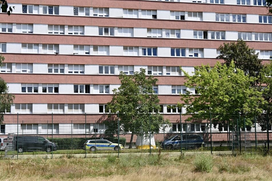 Die Fundstelle wurde mit einem Sichtschutz versehen.