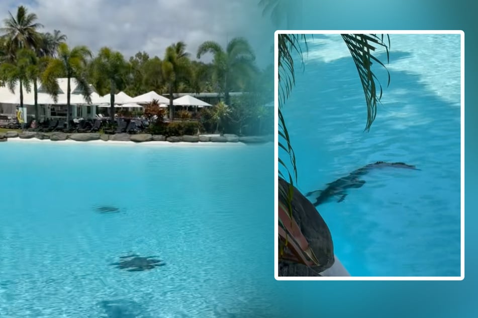 Mujer descubre un cocodrilo en la piscina del hotel: no esperaba la reacción de los demás huéspedes.