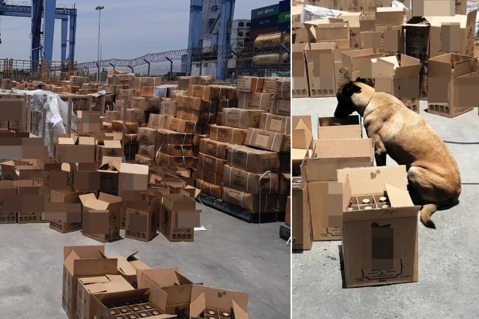 Die Schmuggelware sei bei der Kontrolle eines Containers mit Drogenspürhunden in insgesamt 960 Kisten mit Tequila-Flaschen entdeckt worden.