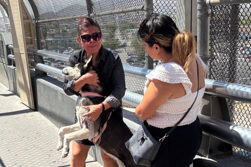Seine Frauchen waren überglücklich, den Hund wiederzusehen.