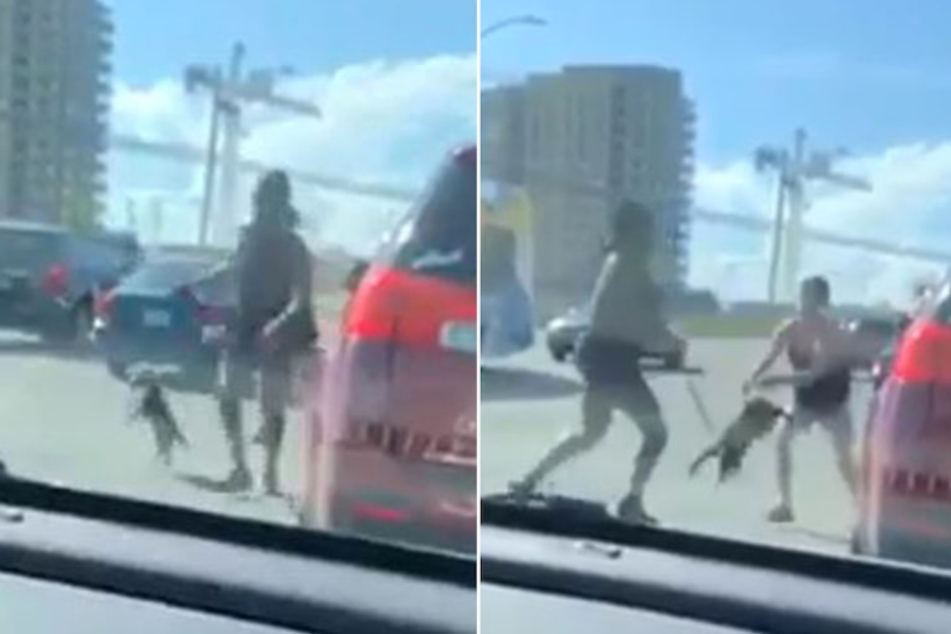 Die Frau schleudert den Hund zunächst dessen Besitzerin entgegen.