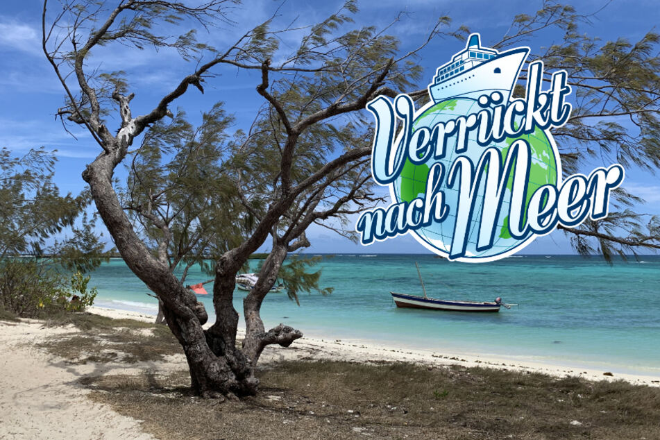 Verrückt nach Meer: Naturspektakel auf Madagaskar! Das passiert in der Folge vom 7. Mai