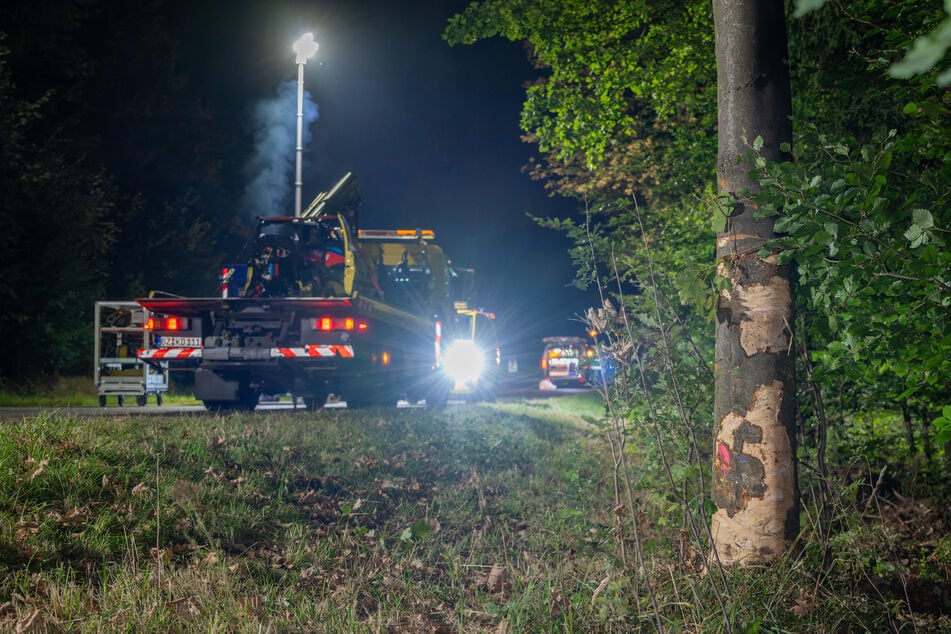 Gegen diesen Baum prallte der Rennfahrer.