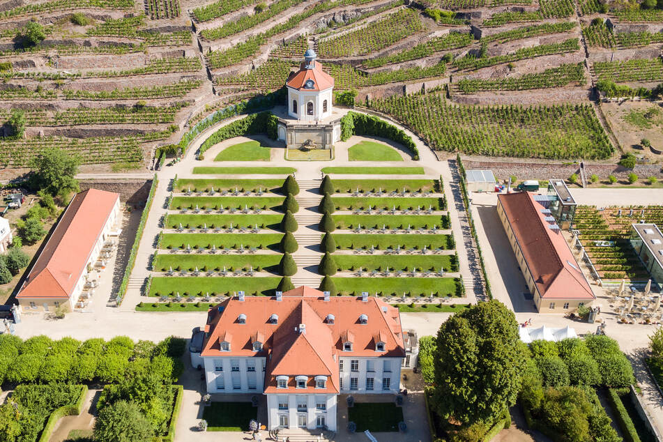 Blick auf die Weinberge und den Barockgarten von Schloss Wackerbarth. Sollte der Staatsbetrieb wie gehabt fortgeführt werden?